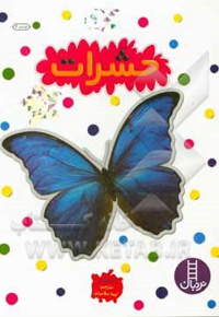 بچسبان و بیاموز 09 حشرات